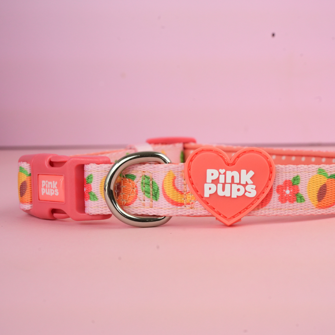 Just Peachy Dog Collar