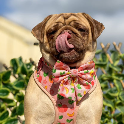 Just Peachy Sailor Bow Tie