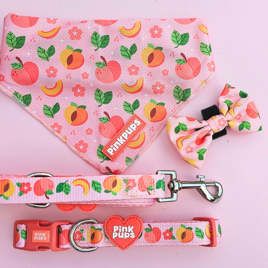 Just Peachy Dog Lead
