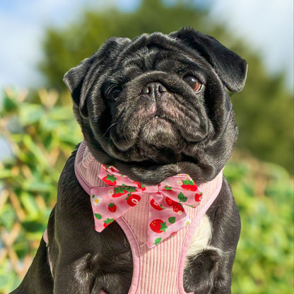 Strawberry Fields Sailor Bow Tie