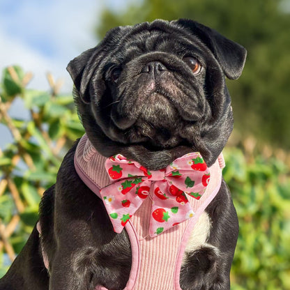 Strawberry Fields Sailor Bow Tie