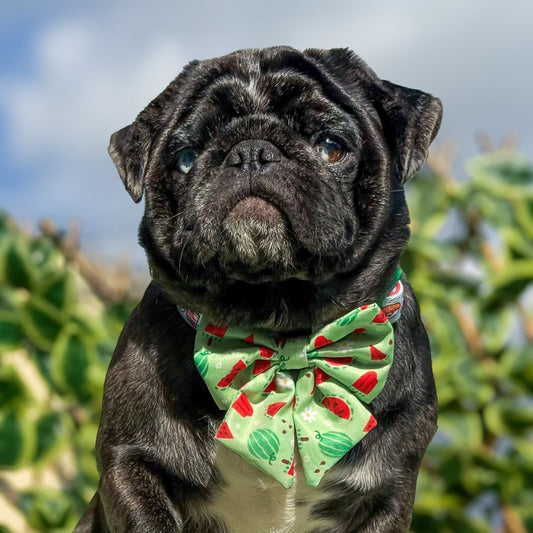 Watermelon Sailor Bow Tie