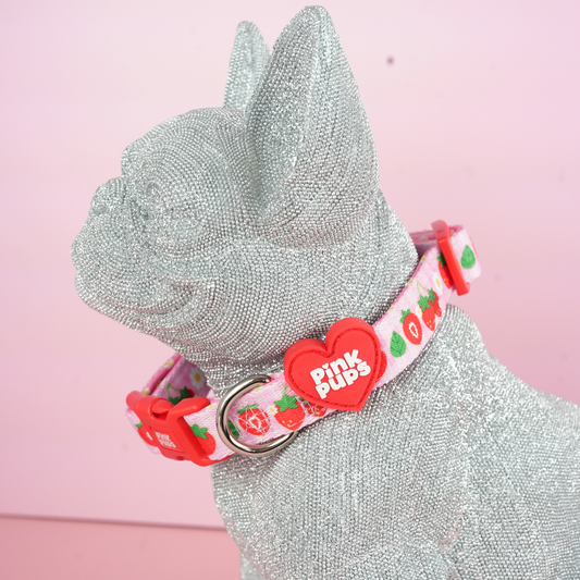Strawberry Fields Dog Collar