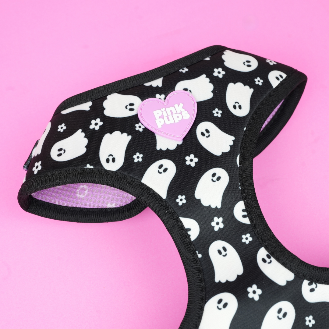 Spooky Season Dog Harness