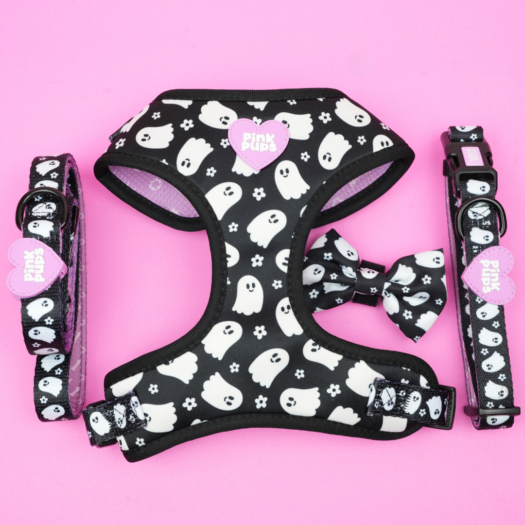 Spooky Season Dog Harness