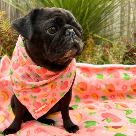 Just Peachy Cooling Dog Bandana