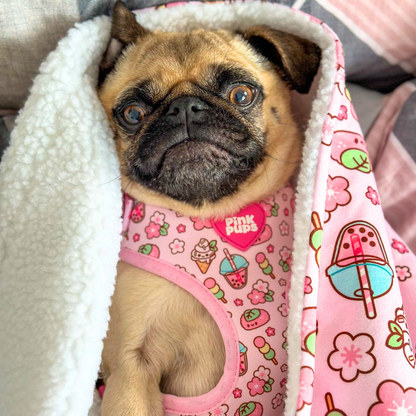 Cherry Blossom Dog Harness