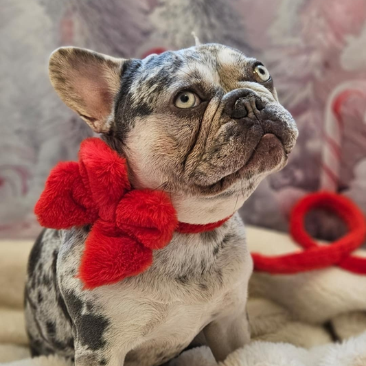 Winter Berry Plush - Sailor Bow tie Pre-Order