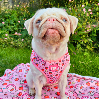 Milkshake Dog Blanket