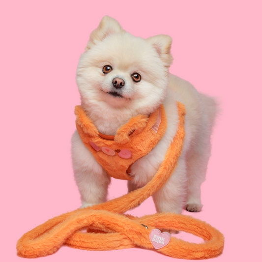 Teddy Bear's Picnic Plush Harness