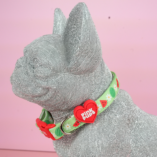 Watermelon Dog Collar