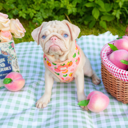 Just Peachy Dog Harness