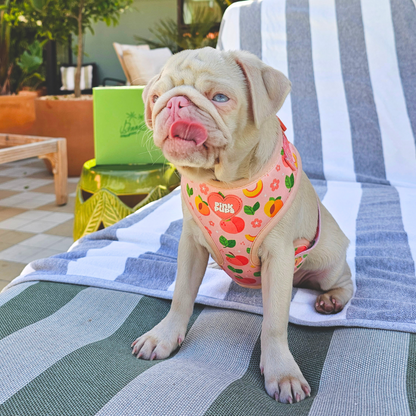 Just Peachy Dog Harness
